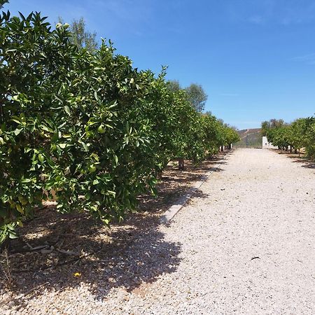 B&B Entrecolinas Paderne  Εξωτερικό φωτογραφία