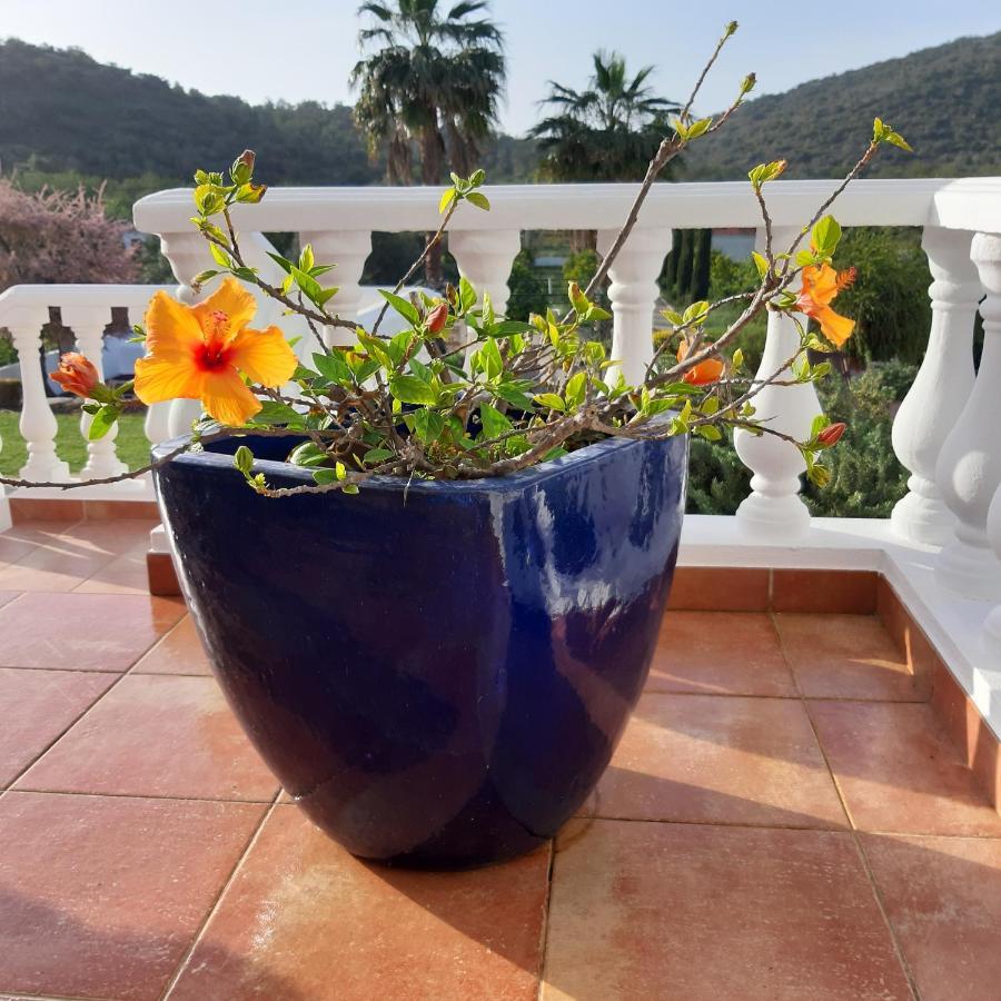 B&B Entrecolinas Paderne  Εξωτερικό φωτογραφία