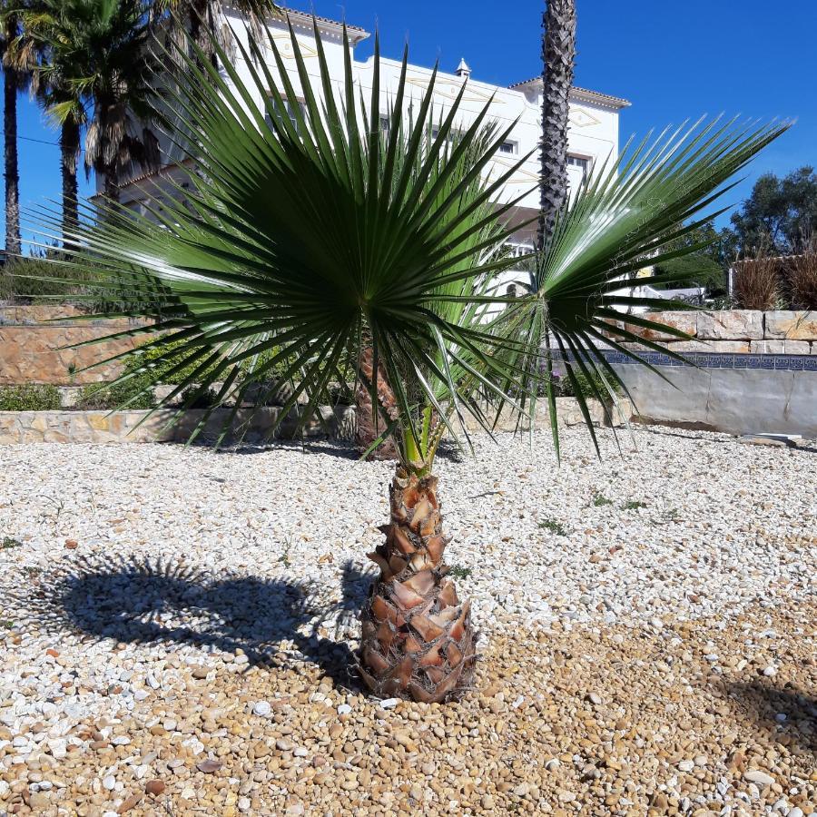B&B Entrecolinas Paderne  Εξωτερικό φωτογραφία