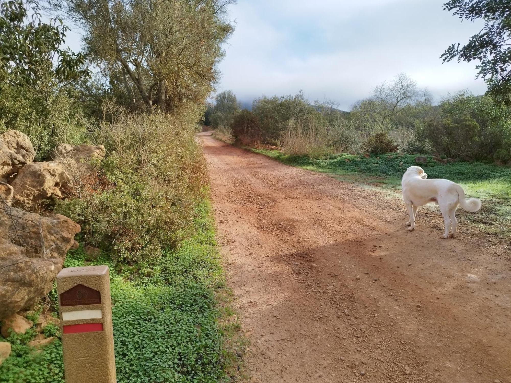 B&B Entrecolinas Paderne  Εξωτερικό φωτογραφία