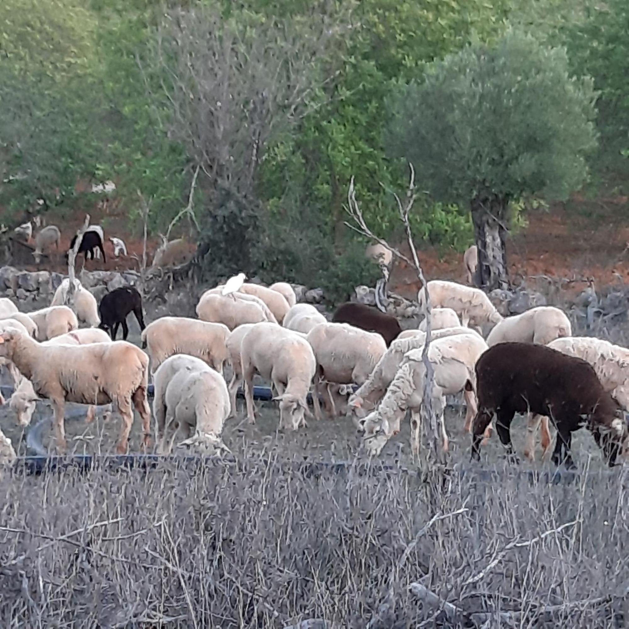 B&B Entrecolinas Paderne  Εξωτερικό φωτογραφία