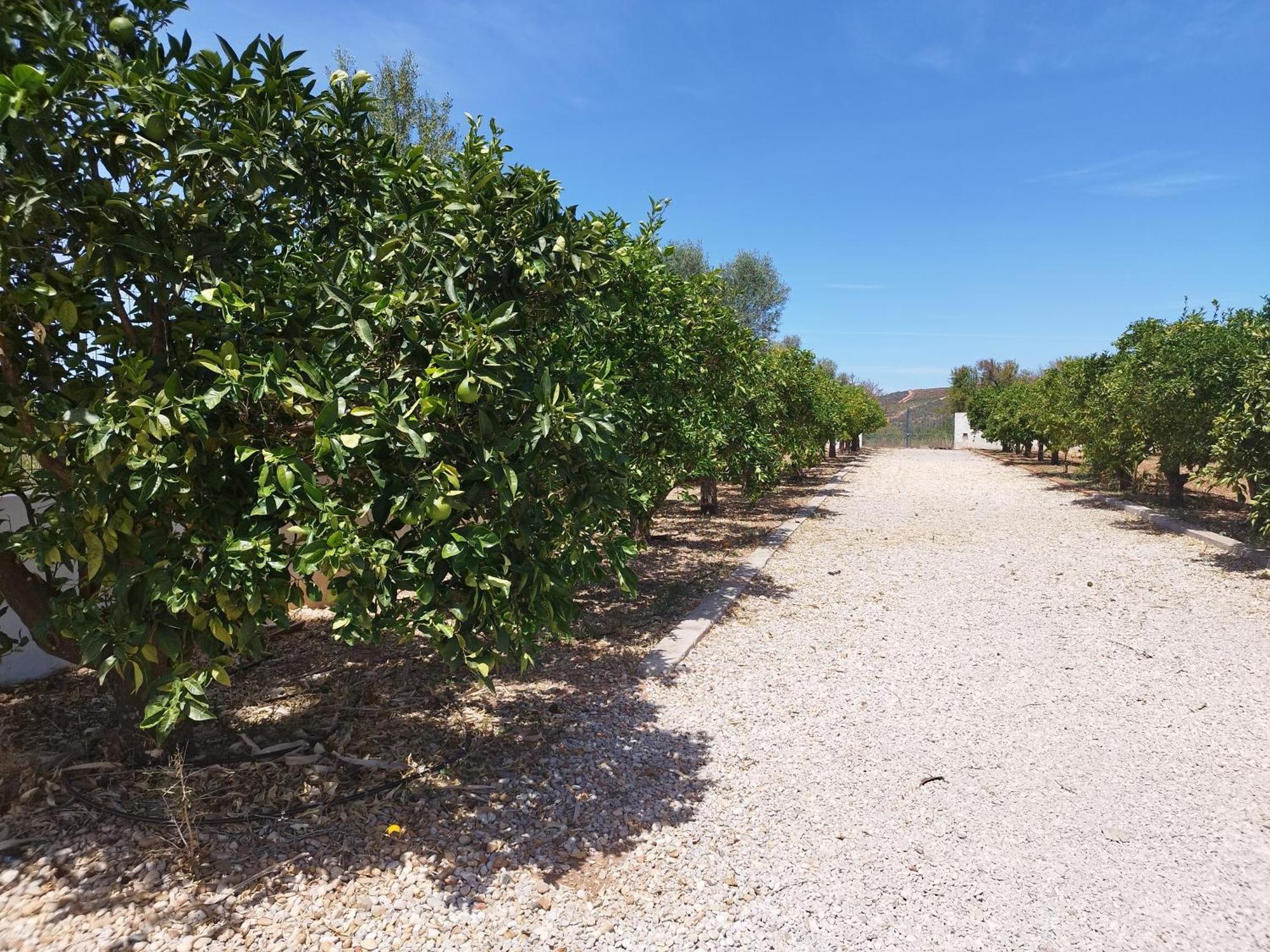 B&B Entrecolinas Paderne  Εξωτερικό φωτογραφία