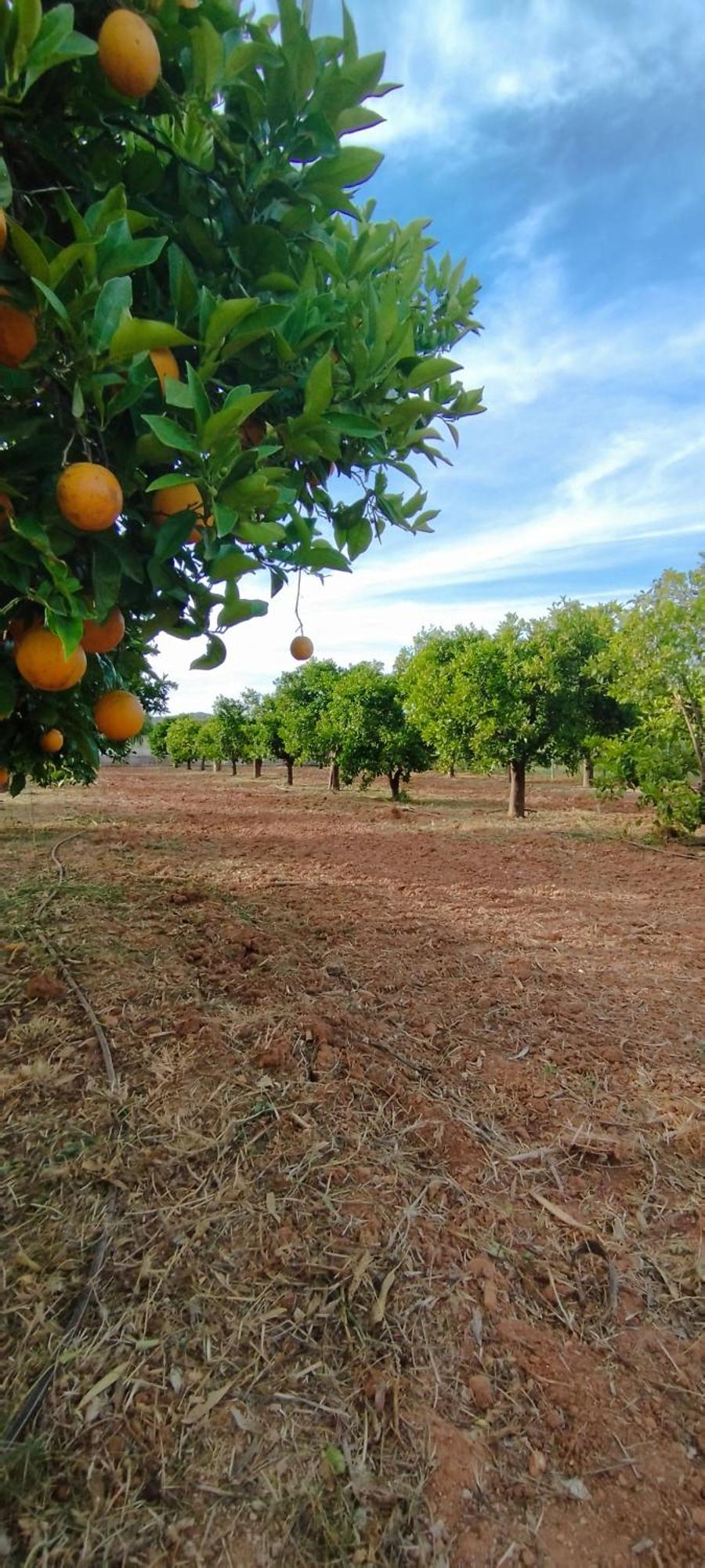 B&B Entrecolinas Paderne  Εξωτερικό φωτογραφία
